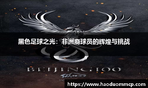 黑色足球之光：非洲裔球员的辉煌与挑战