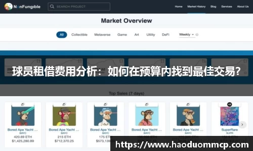 球员租借费用分析：如何在预算内找到最佳交易？